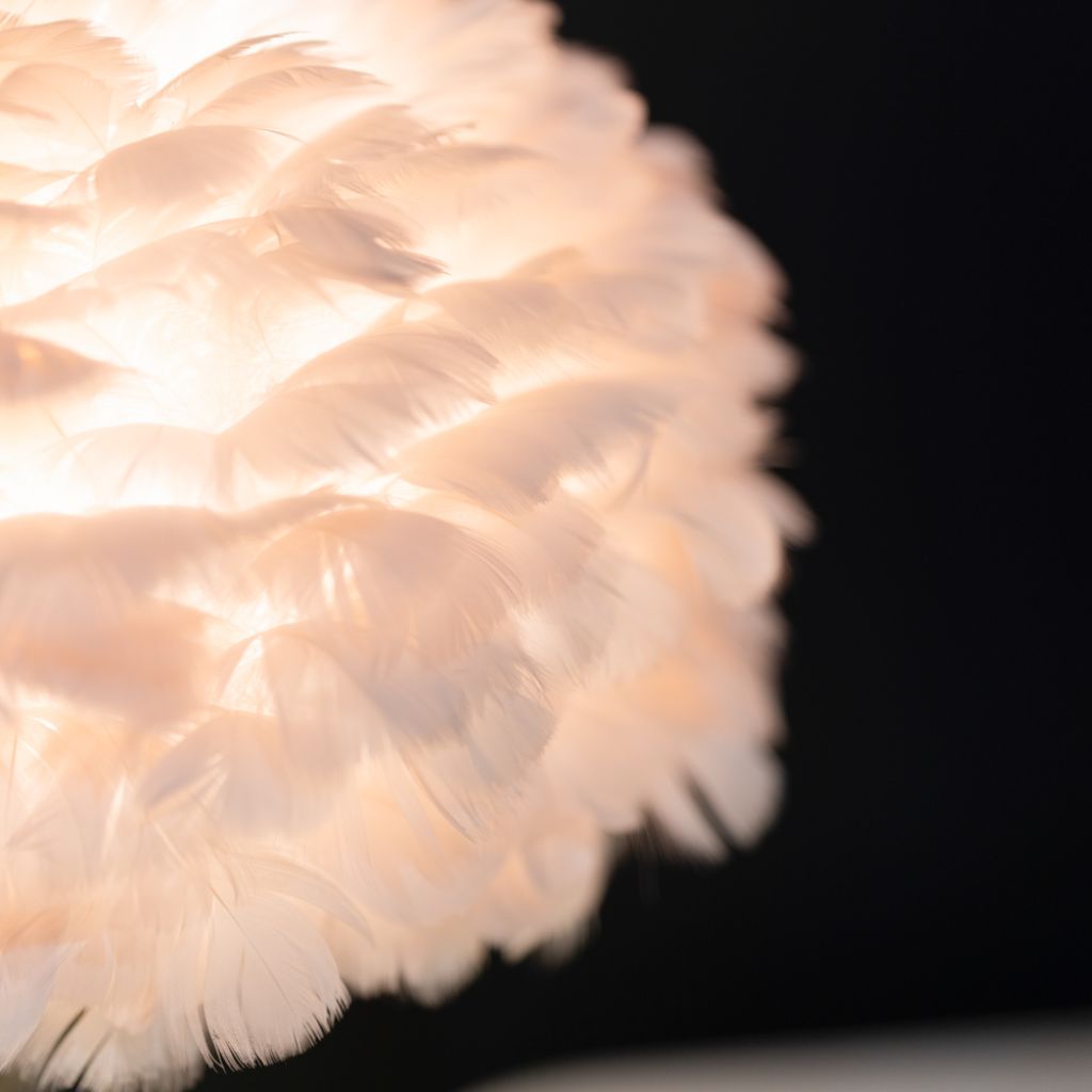 Close-up of a feathered lampshade against a black background